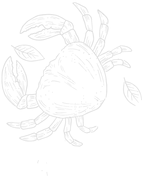 bg-menu-shrimp-12