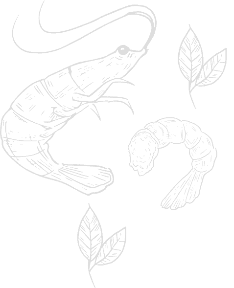 bg-menu-shrimp-12